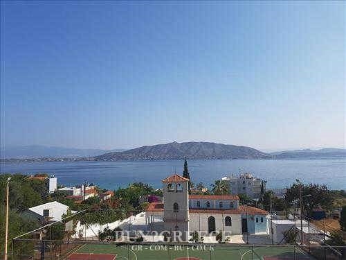 House for sale in Salamina
