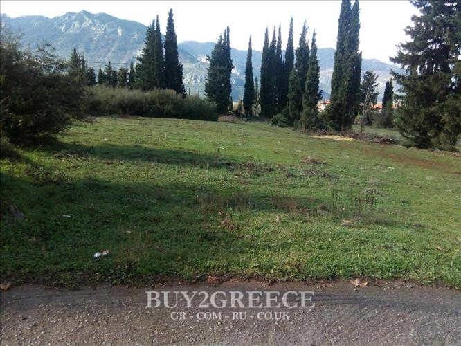 House for sale in Parnassos